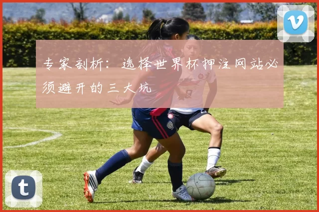 专家剖析：选择世界杯押注网站必须避开的三大坑