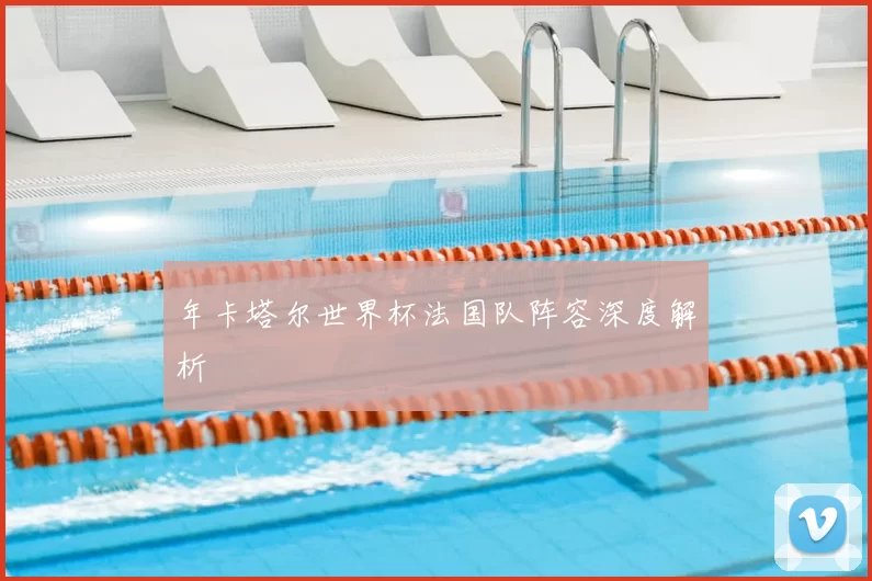 年卡塔尔世界杯法国队阵容深度解析