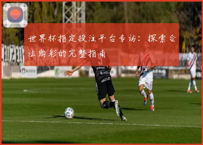 世界杯指定投注平台专访:探索合法购彩的完整指南