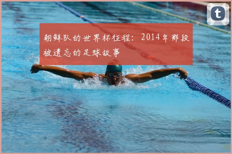 朝鲜队的世界杯征程:2014年那段被遗忘的足球故事