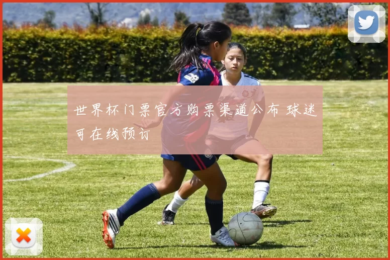 世界杯门票官方购票渠道公布 球迷可在线预订