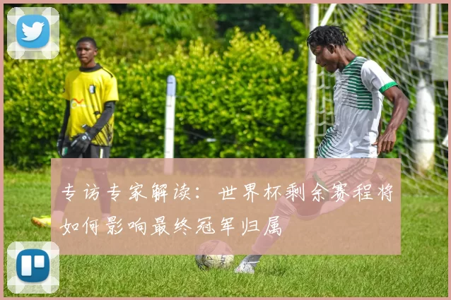 专访专家解读：世界杯剩余赛程将如何影响最终冠军归属