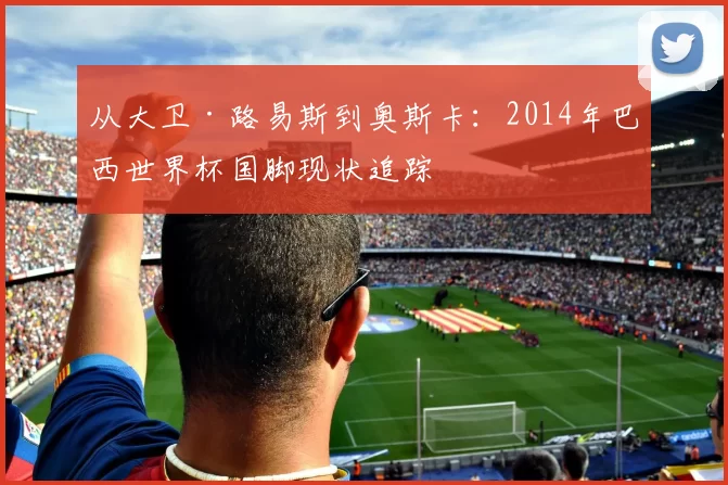从大卫·路易斯到奥斯卡:2014年巴西世界杯国脚现状追踪
