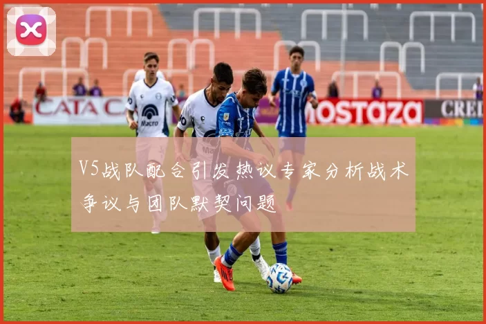 V5战队配合引发热议专家分析战术争议与团队默契问题