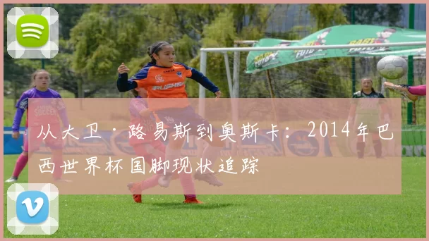 从大卫·路易斯到奥斯卡：2014年巴西世界杯国脚现状追踪